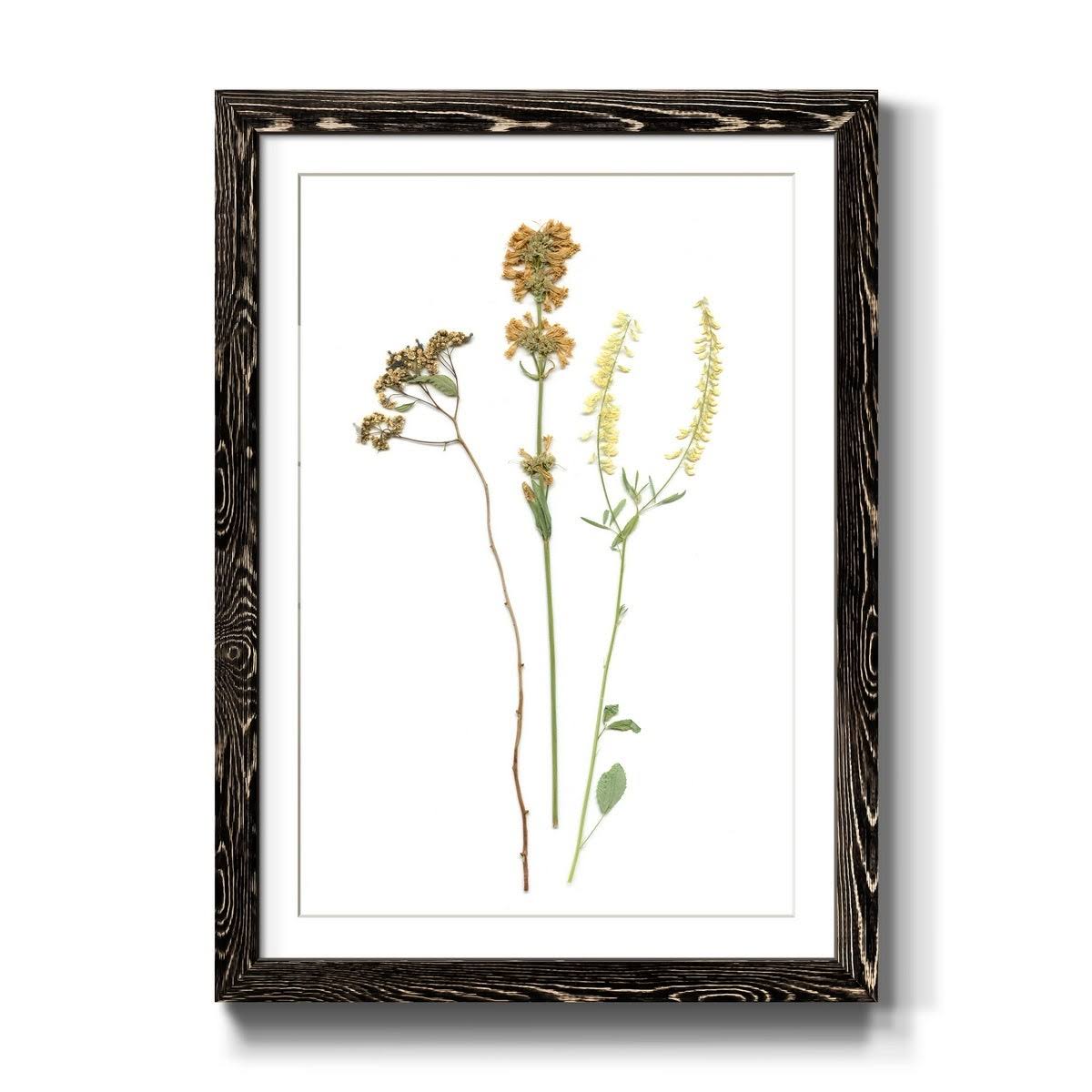 Framed Print 23X32 Black T533540