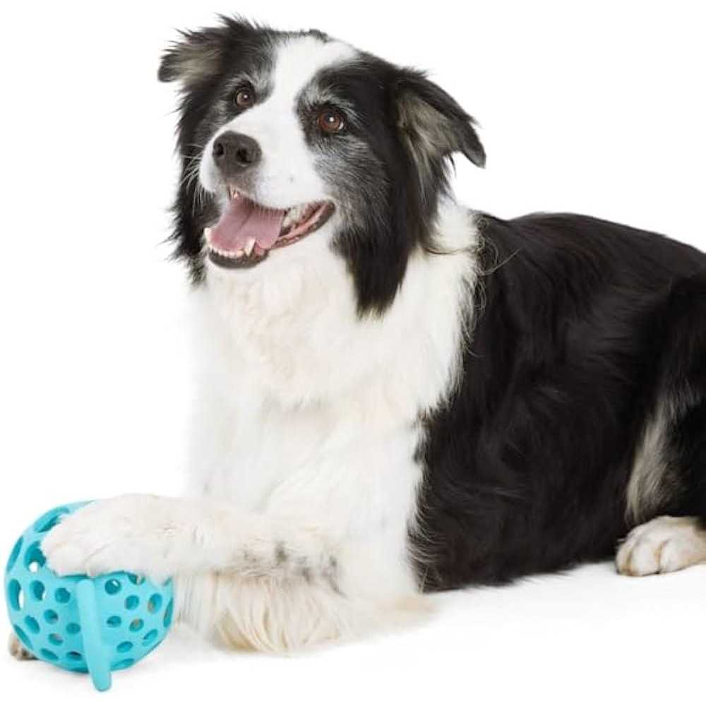 Dog Toy with Handle P557177