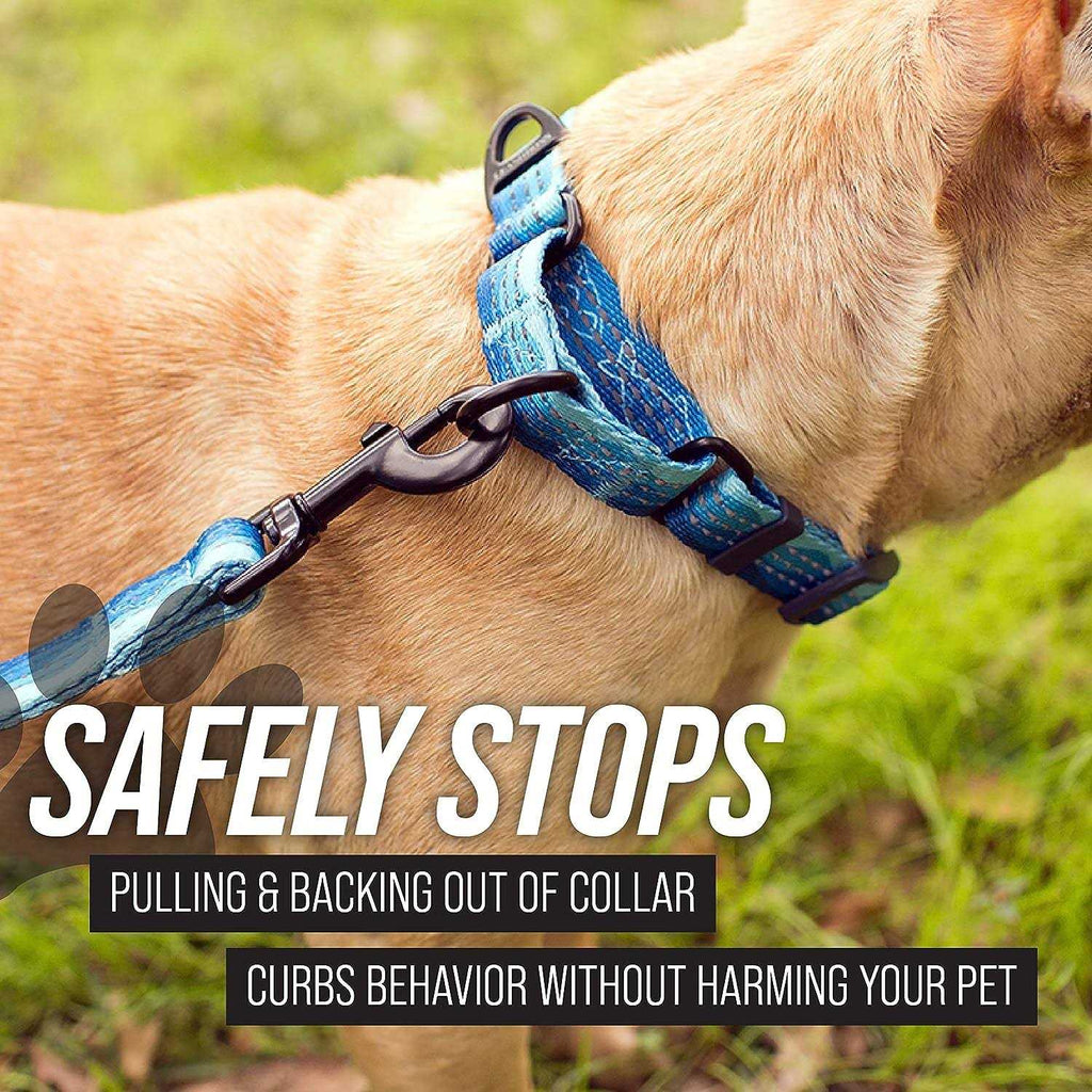 Patterned Fabric Martingale Dog Collar I9657