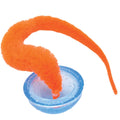 Cat Toy S52310