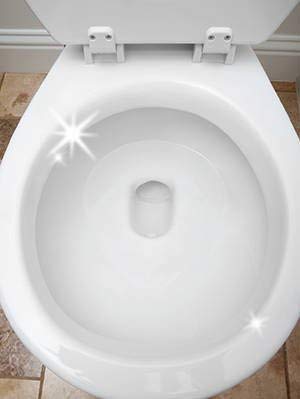 3.5 Ounce 6 Pack Toilet Bowl Cleaner Tablet K269873