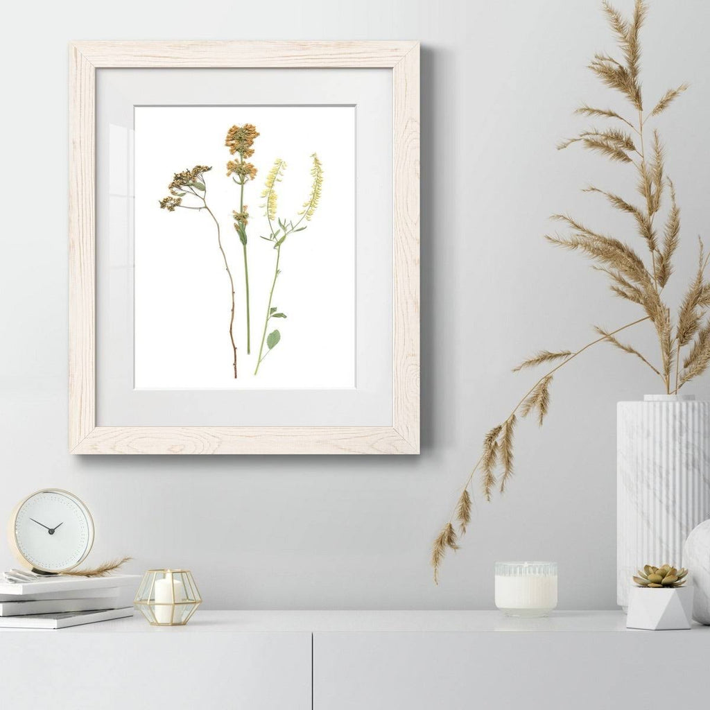 Framed Print 23X32 Black T533540