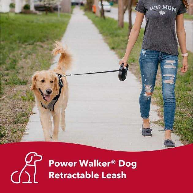 Retractable Dog Leash T53547