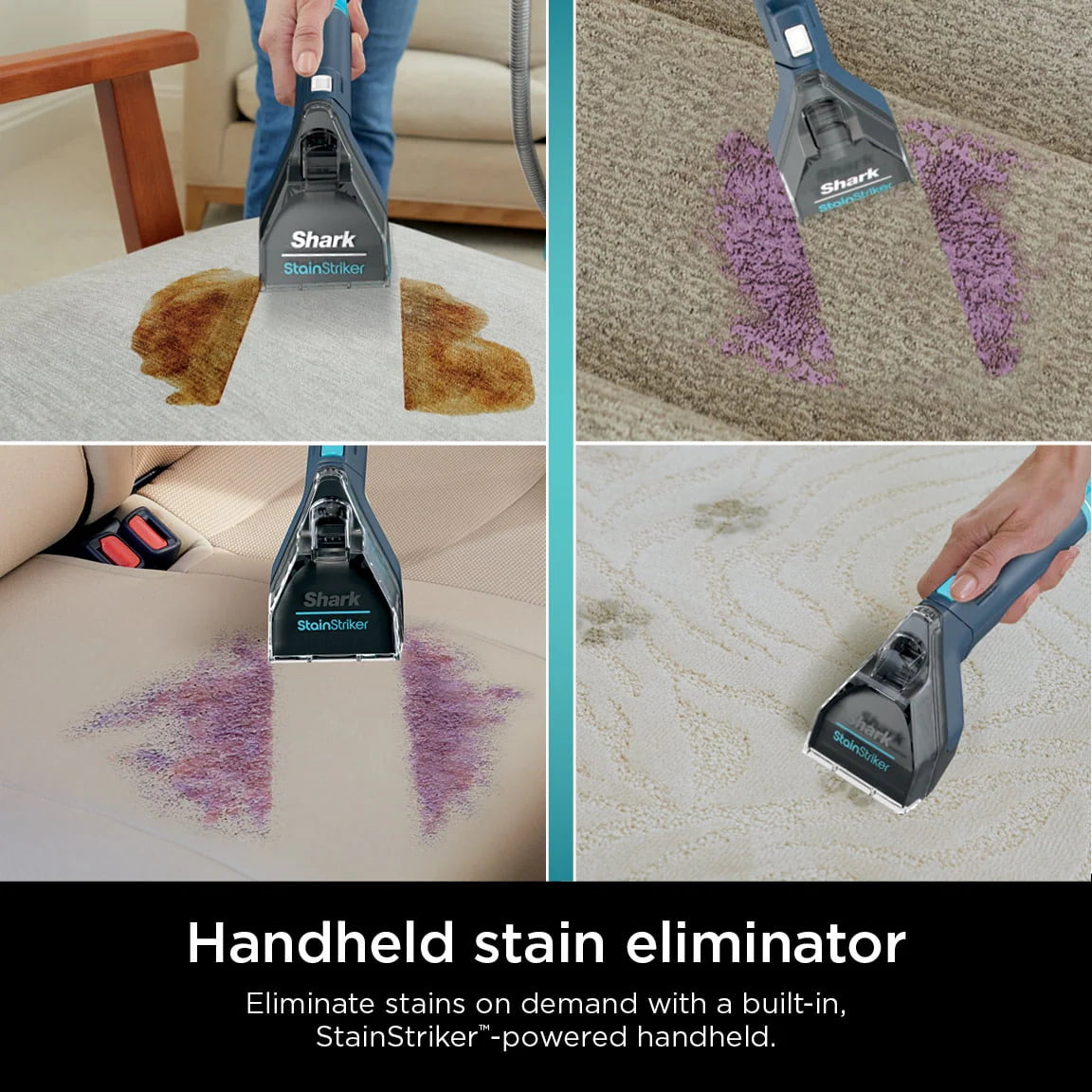 Portable Carpet & Upholstery Cleaner L16890