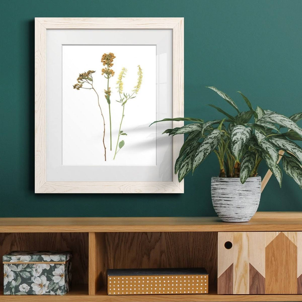 Framed Print 23X32 Black T533540