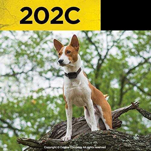 Remote Training Collar 2-Dog I611