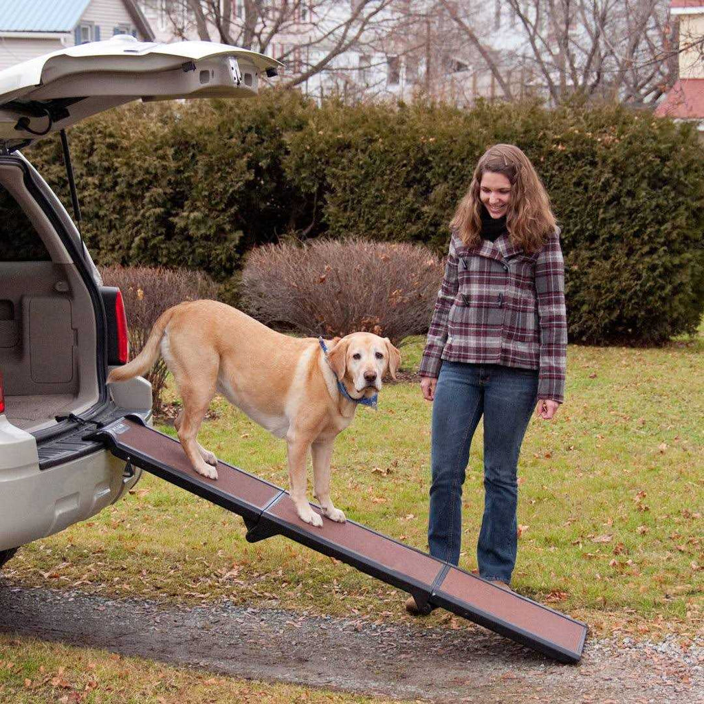 Tri-Fold Pet Ramp C854917