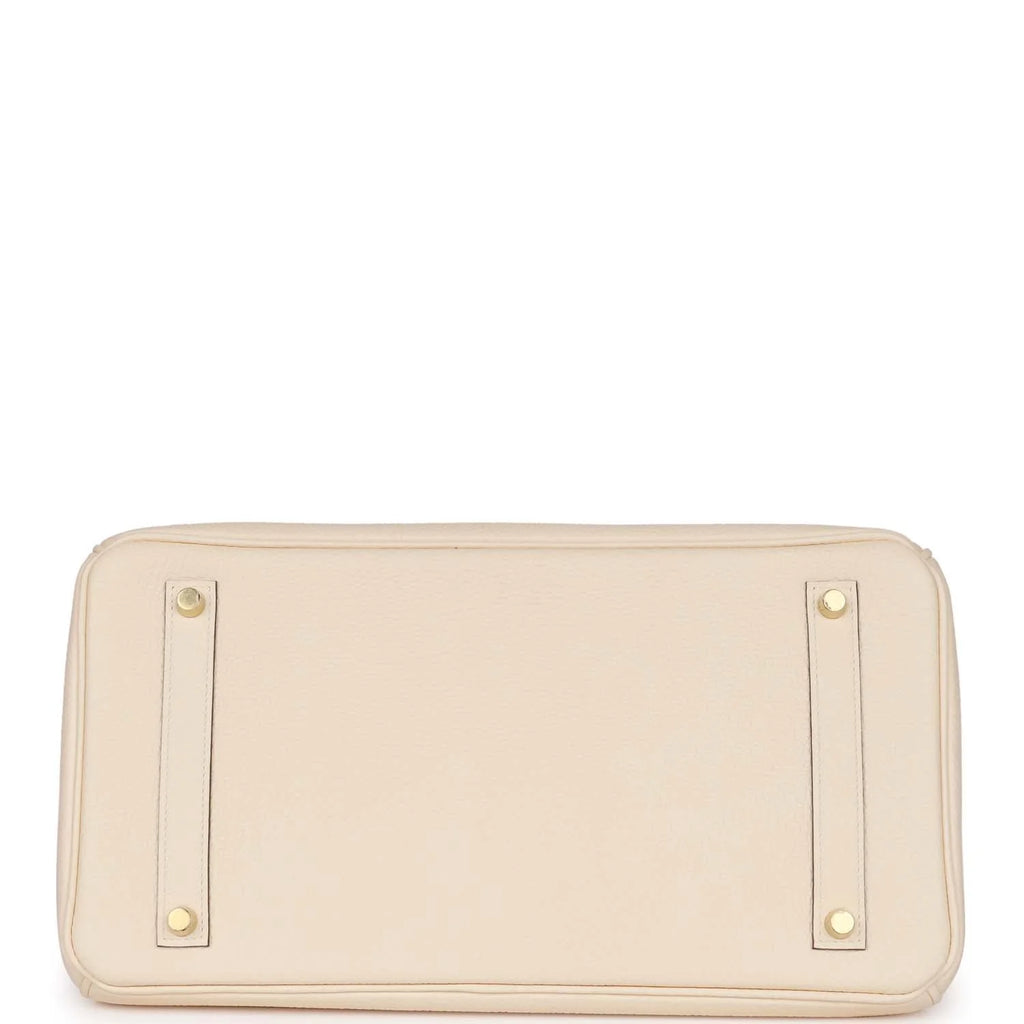 Birkin 35 Nata Clemence Gold Hardware B8168
