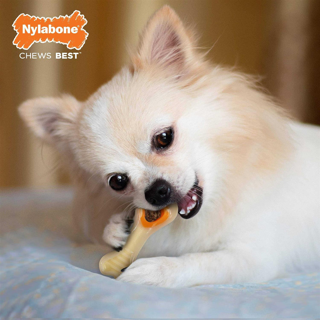 Chicken Chew Toy W900