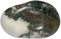 Tree Agate Semi Precious Gemstone 133.2ct U6911