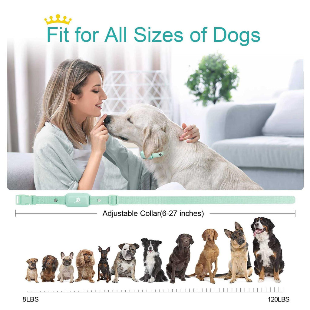 Waterproof Rechargeable Electric Dog Training Collar with Remote V4373