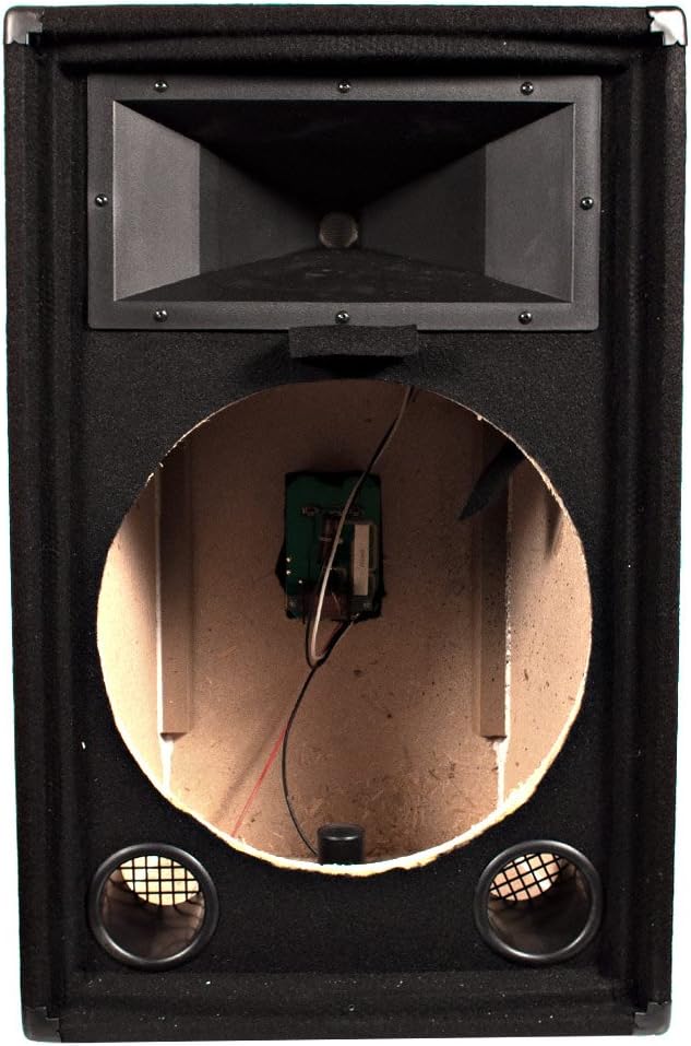 Empty 15-Inch PA DJ Speaker Cabinet F62016