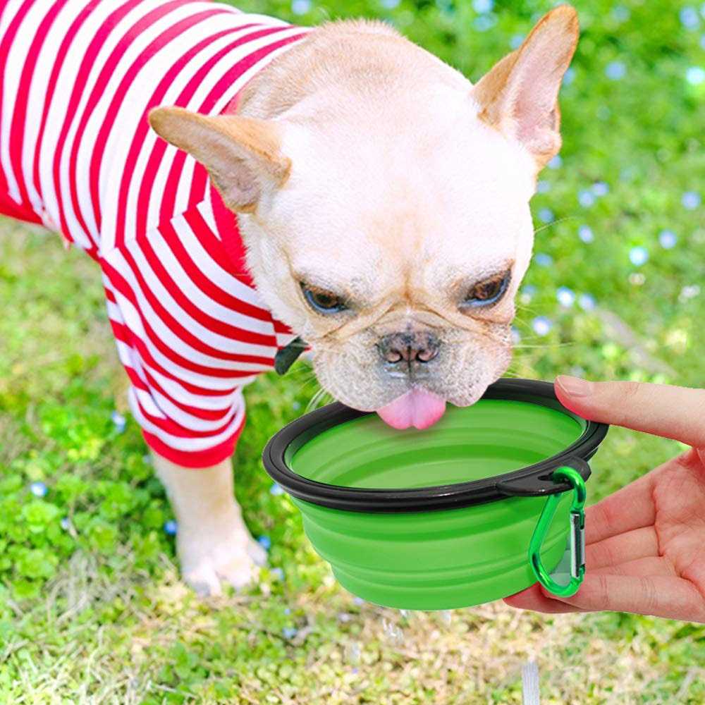 Collapsible Dog Bowl 2 Pack Q956