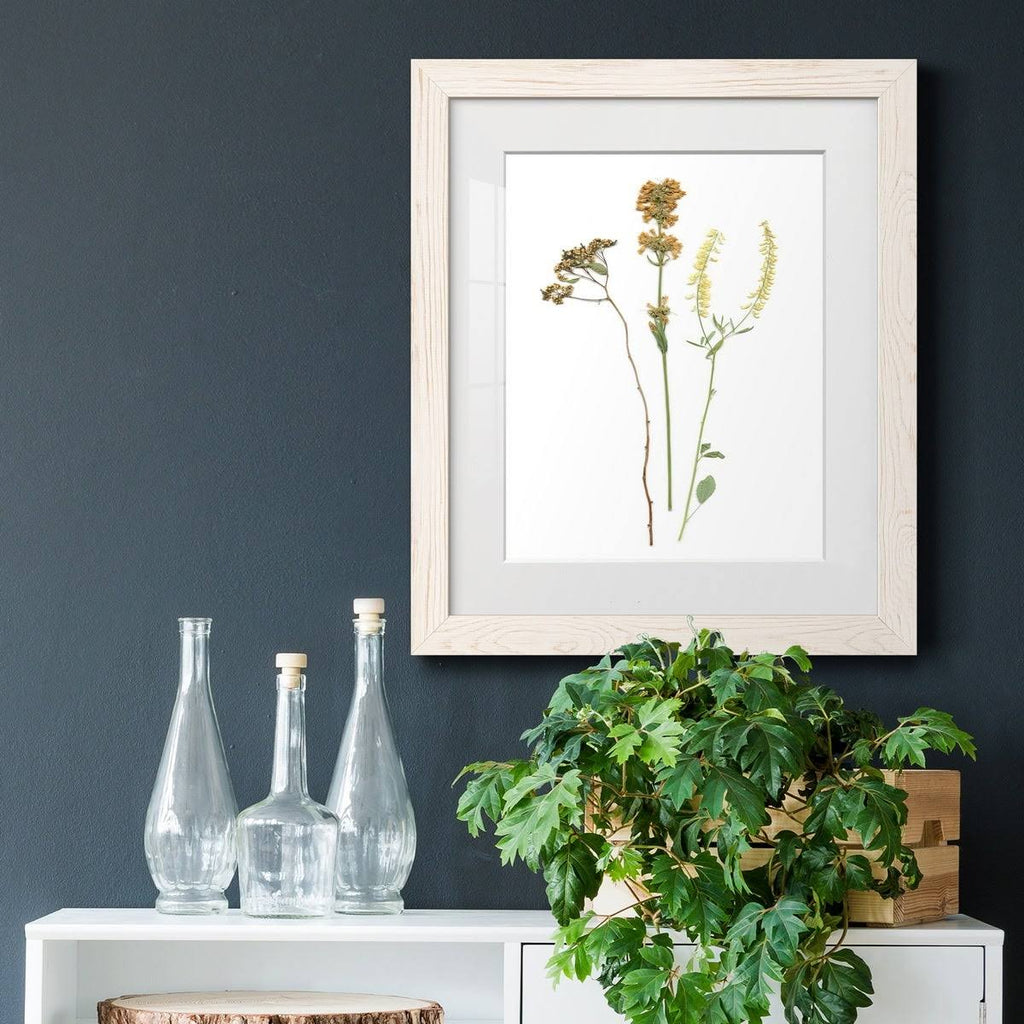 Framed Print 23X32 Black T533540