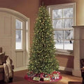 9 ft Pre-Lit Slim Fraser Green Fir Artificial Christmas Tree with Clear/White Lights A49829