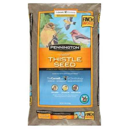 Thistle Seed Pet Supplies Y749596