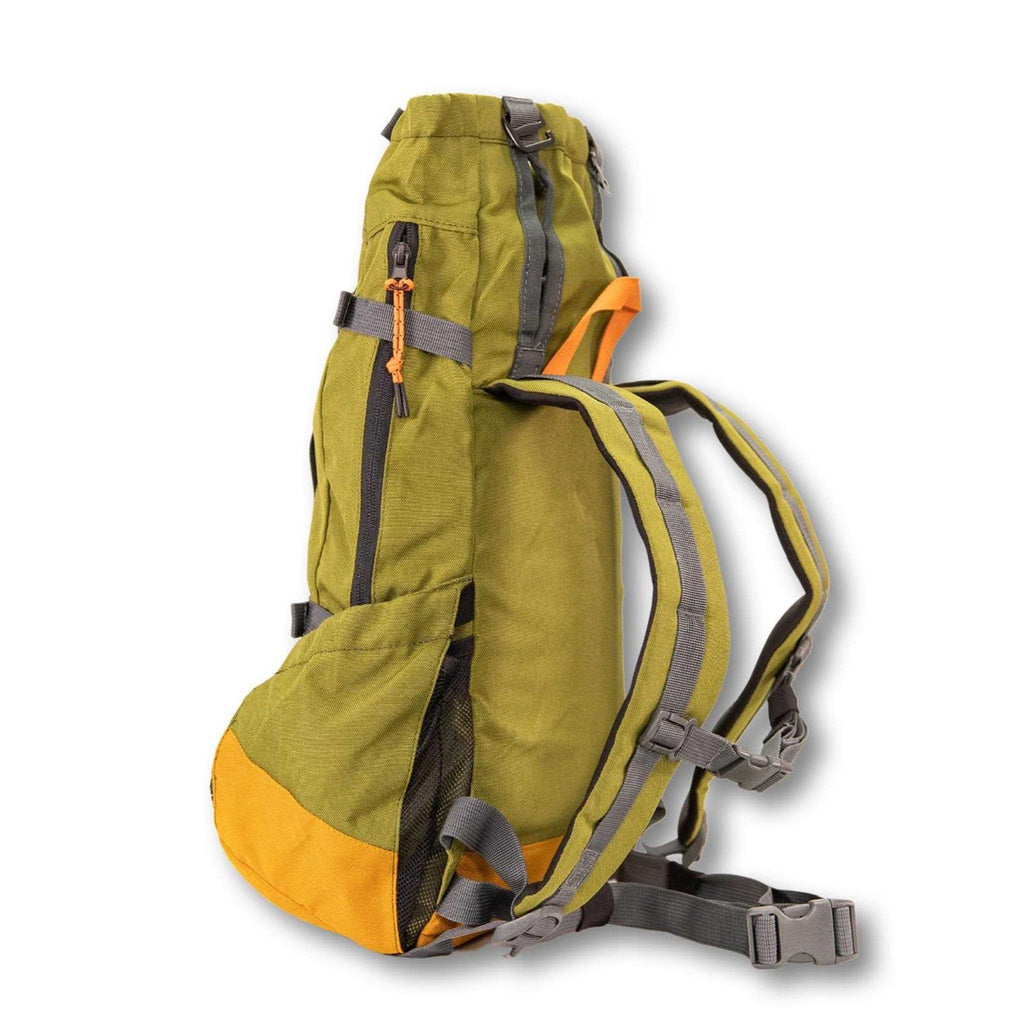 Dog Carrier A3987
