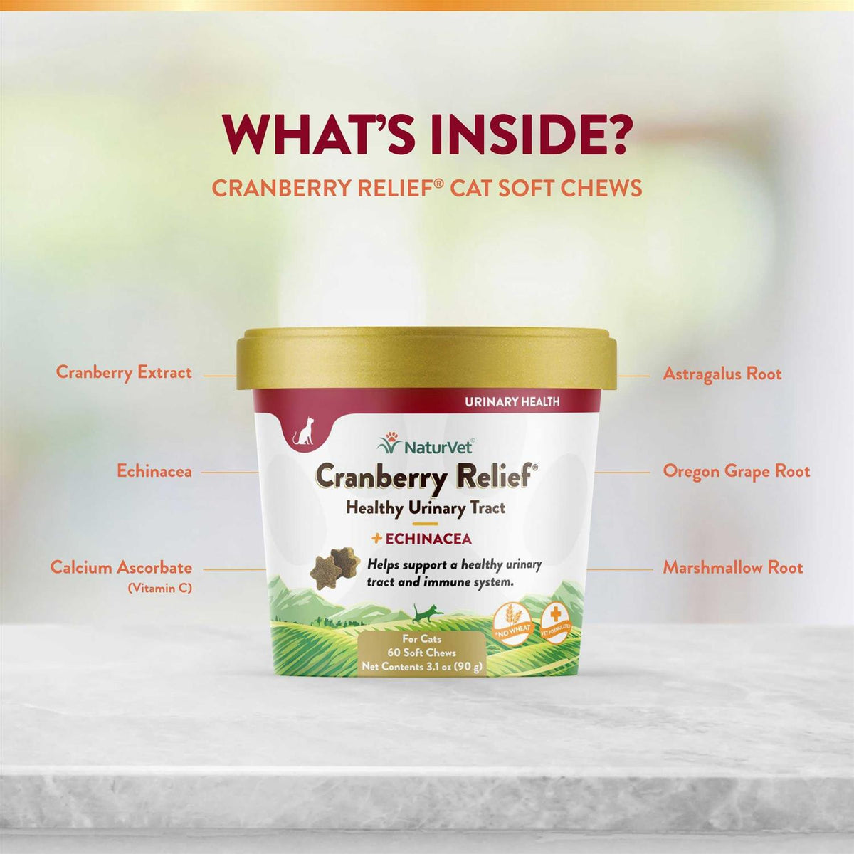 Cranberry Relief Plus Echinacea for Cats B337333