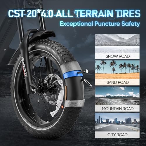 Electric Bike 20" Fat Tire Full Suspension with Dual Hydraulic Brakes N228