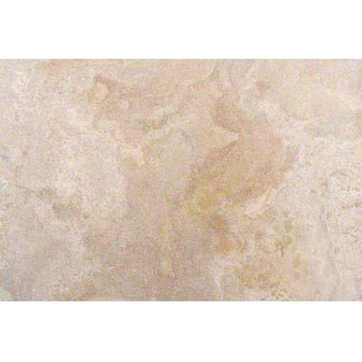 Travertine Tile G420556