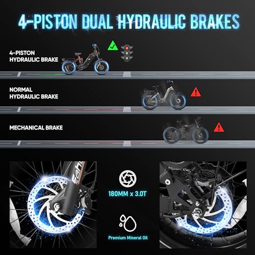 Electric Bike 20" Fat Tire Full Suspension with Dual Hydraulic Brakes N228