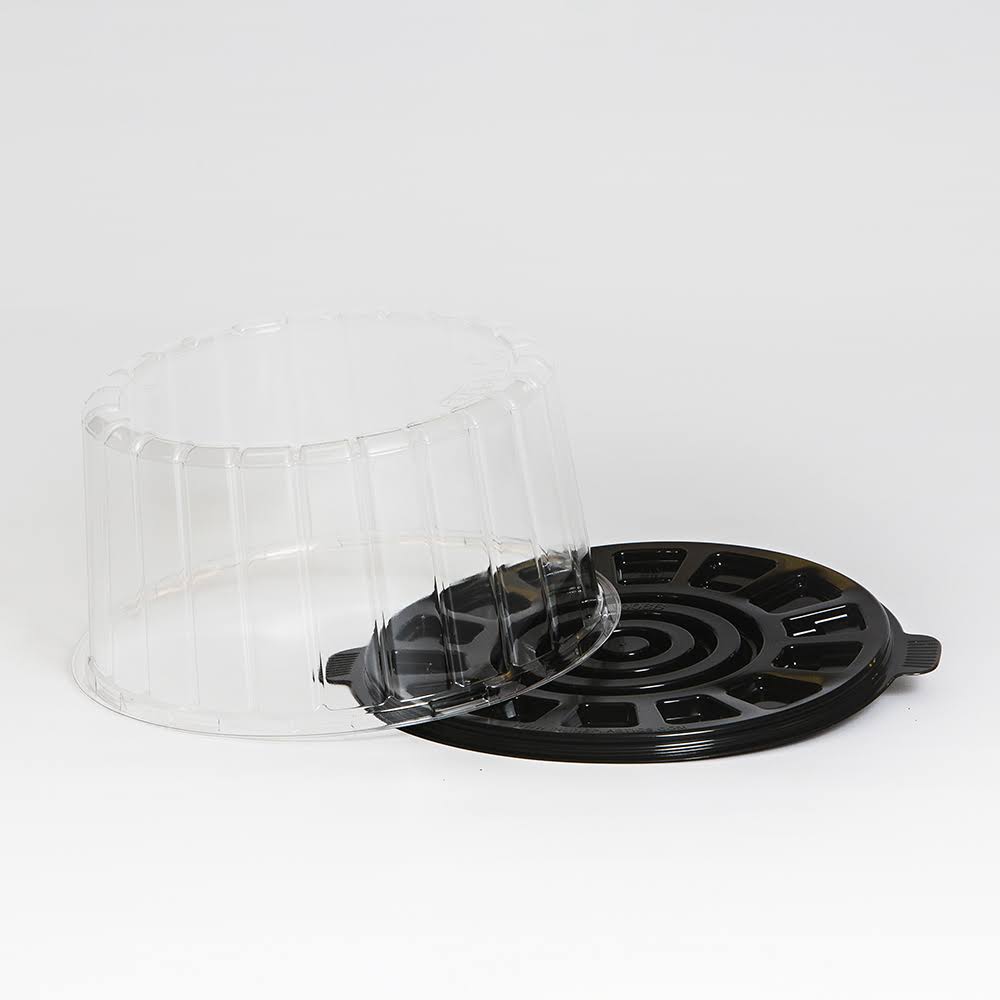 Clear Double Layer Cake Container with Dome Lid L88790