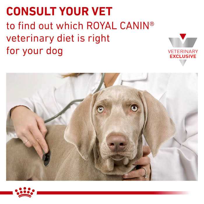 Veterinary Diet Hepatic Canned Dog Food F617811
