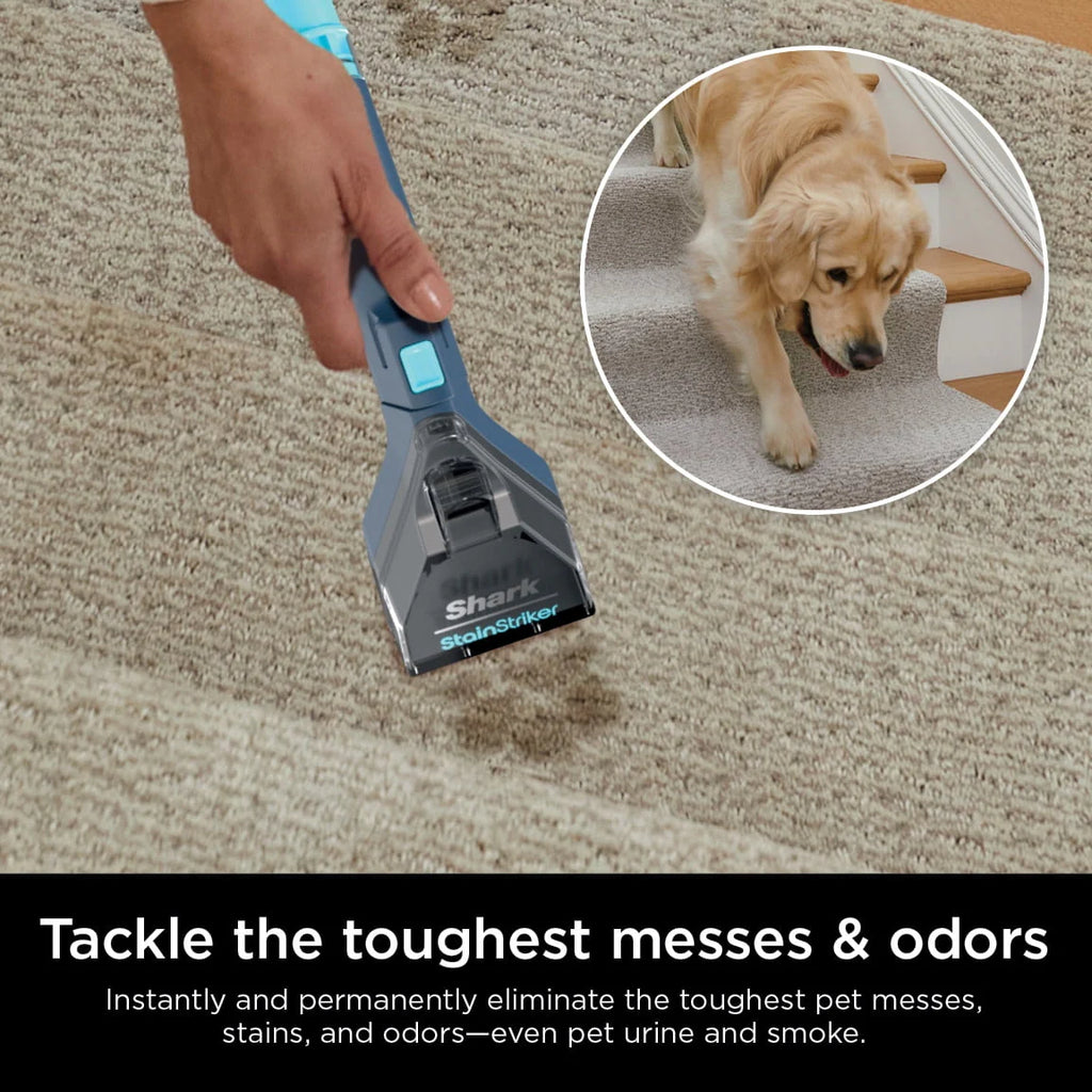 Portable Carpet & Upholstery Cleaner L16890