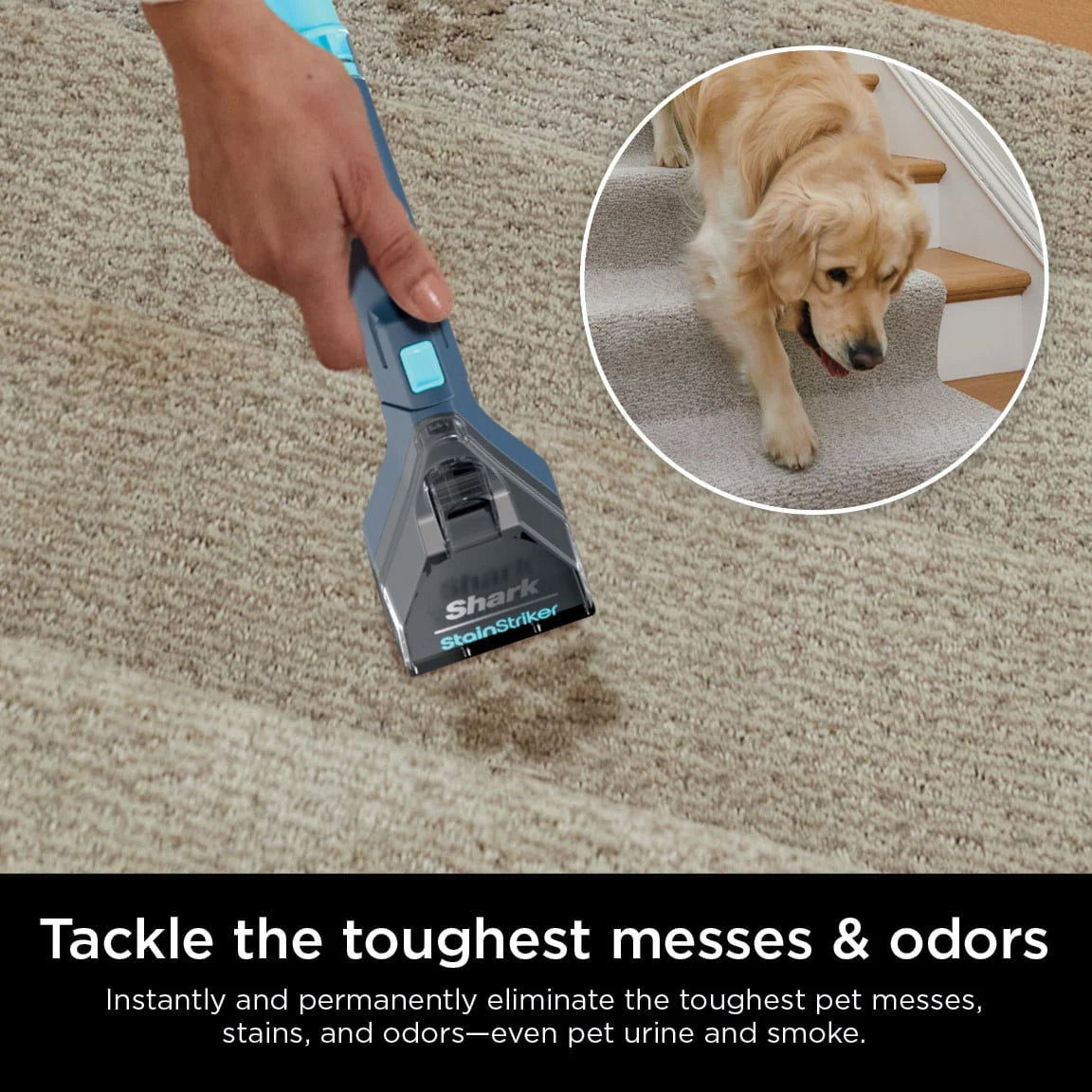 Portable Carpet & Upholstery Cleaner L16890