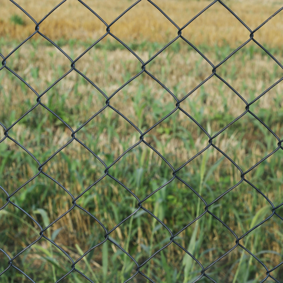 Black PVC Coated Steel Chain Link Fence X242417