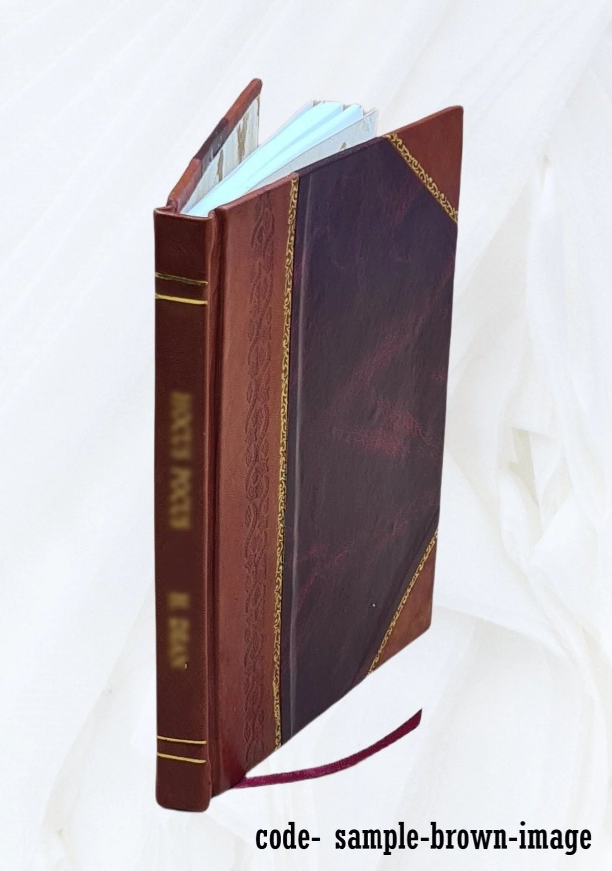 Leather Bound Book O47707