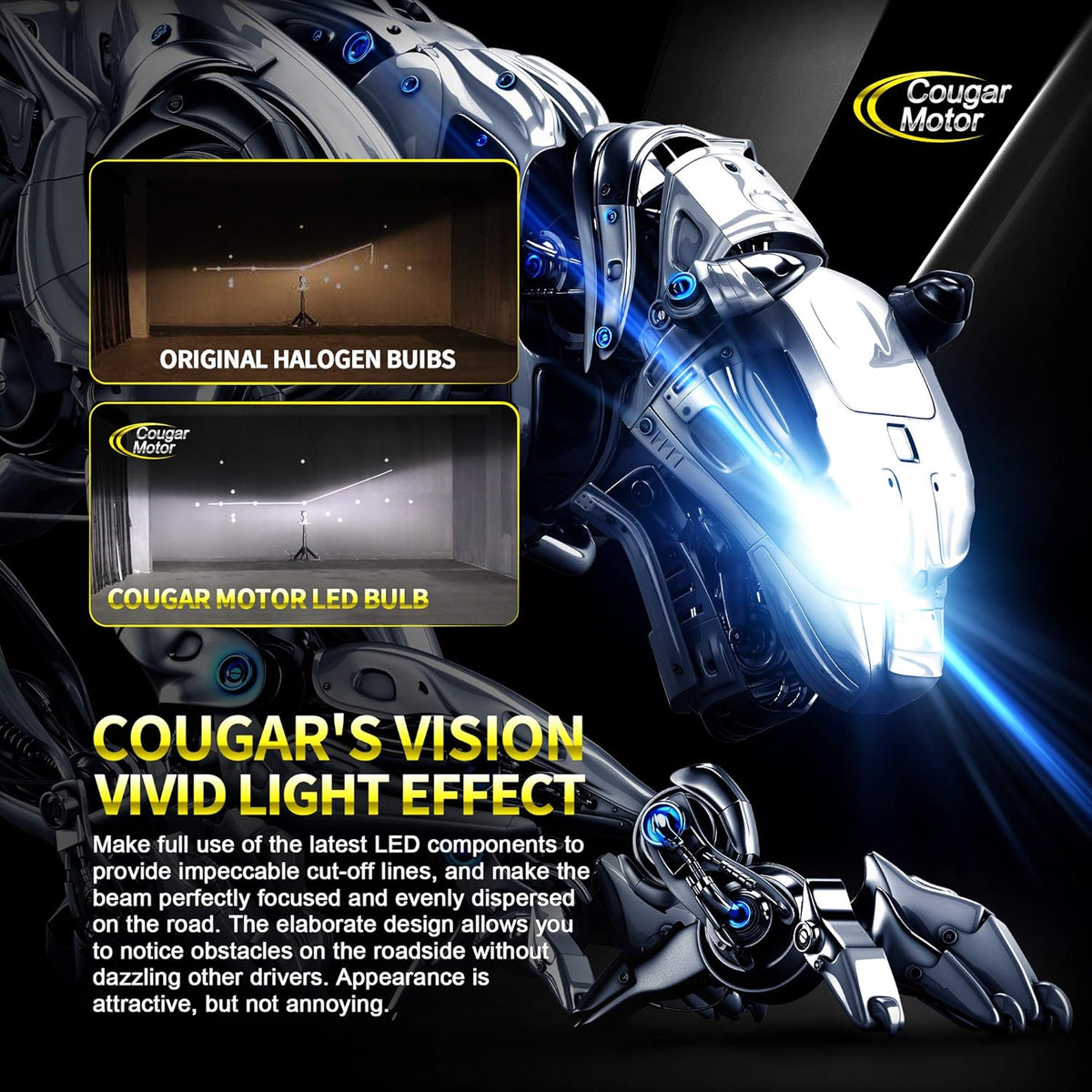 H7 LED Bulb Conversion Kit, 6500K Cool White, Pack of 2 B492004