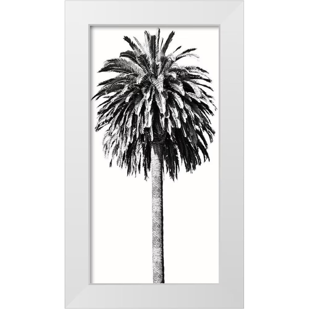 White 18x32 Wood Framed Museum Art Print K300888