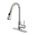 Single-Handle Pull-Down Sprayer Kitchen Faucet in Polished Chrome N278
