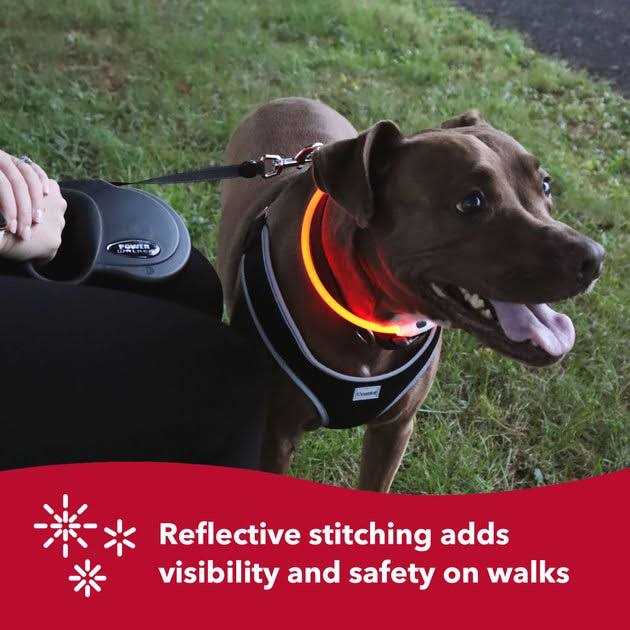 Retractable Dog Leash T53547