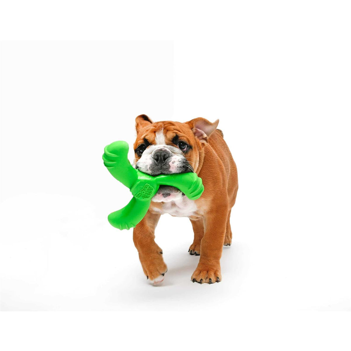Dog Toy T1032
