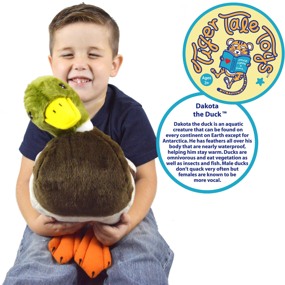 1 Foot Large Stuffed Animal Plush Y25442