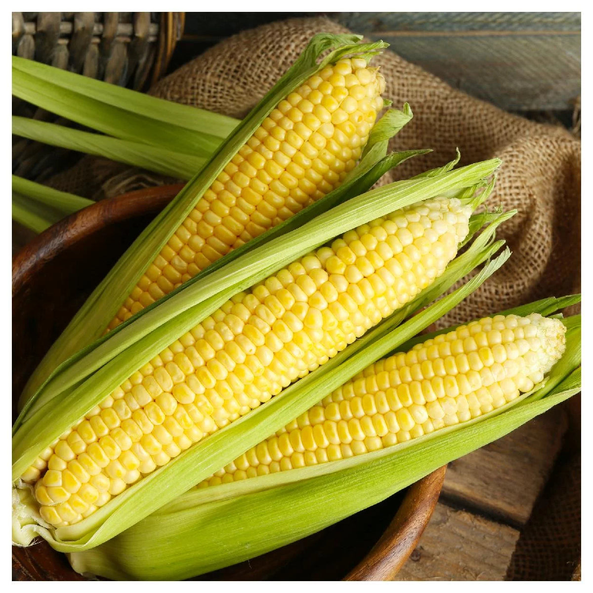 1 lb Yellow Sweet Corn Seeds D90786