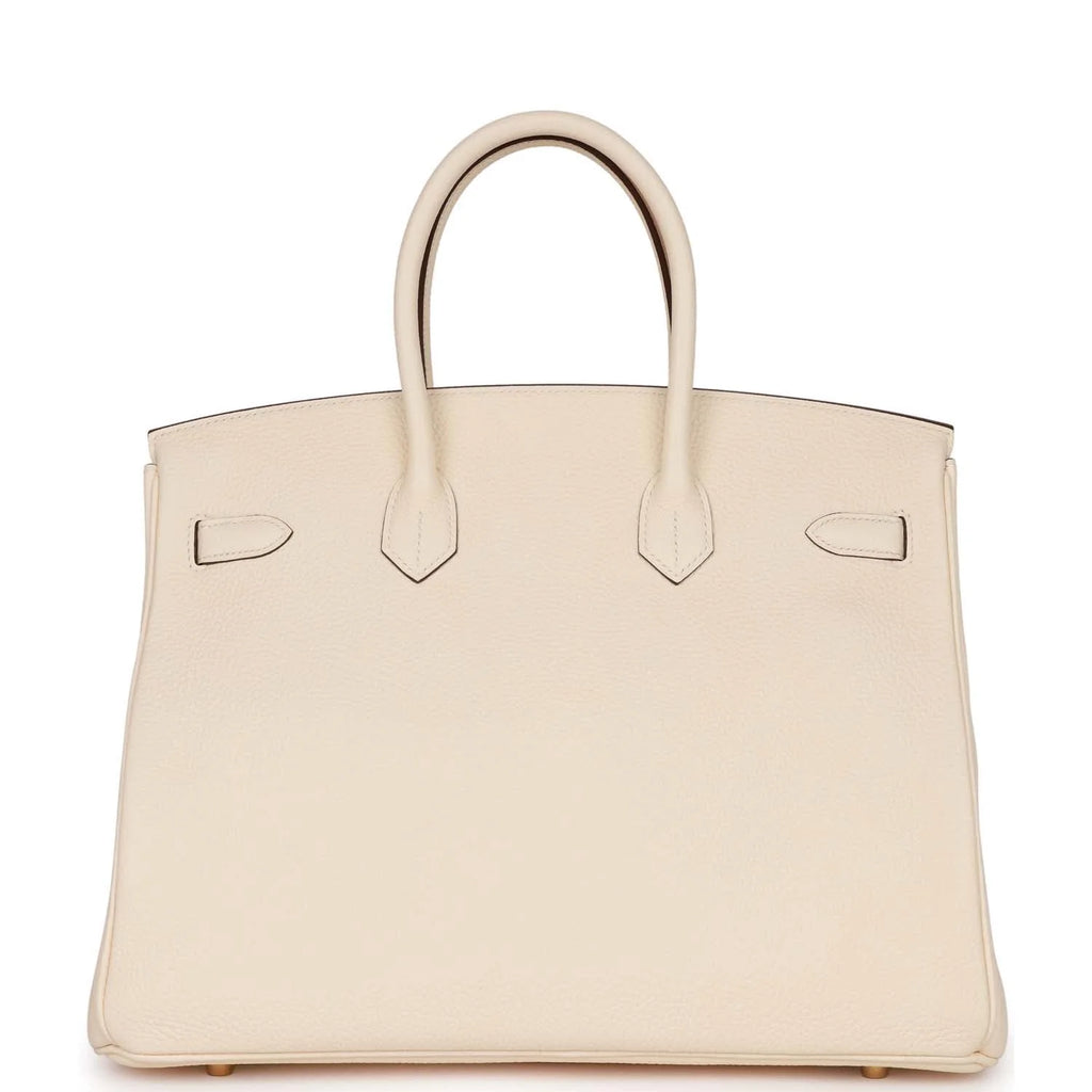 Birkin 35 Nata Clemence Gold Hardware B8168
