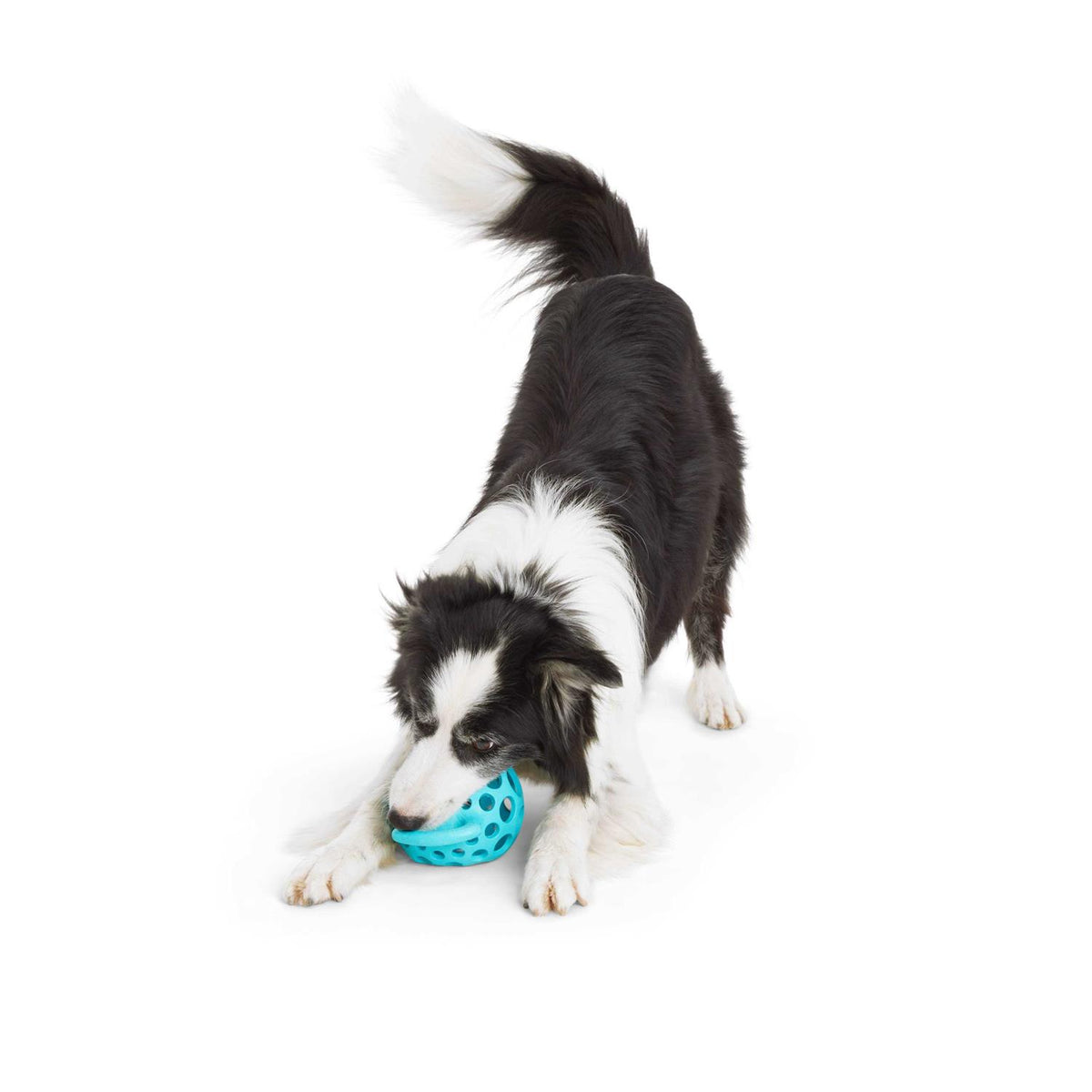 Dog Toy with Handle P557177