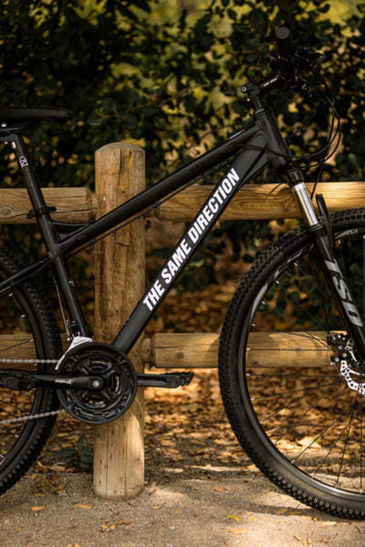 Black/White L1281