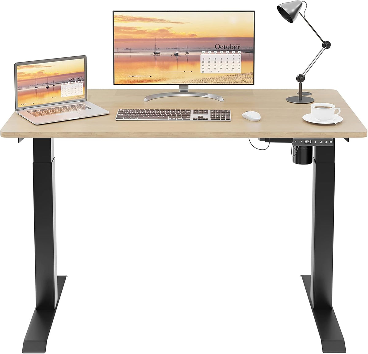 48 x 24 Electric Standing Desk with Splice Board F34760