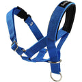 Dog Head Collar Halter V978