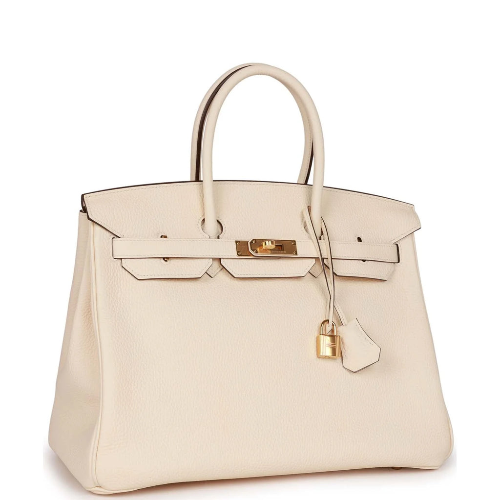 Birkin 35 Nata Clemence Gold Hardware B8168
