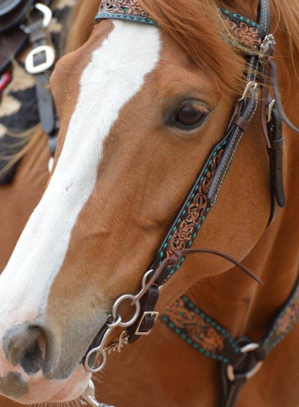 Purple Filigree Inlay Browband Headstall Z2658