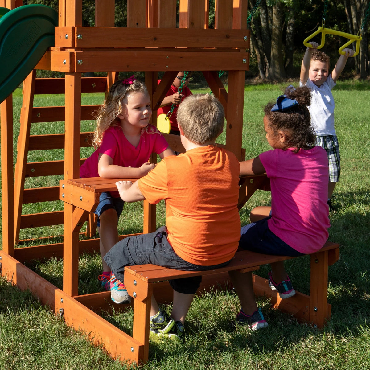 Cedar Wooden Swing Set H376564