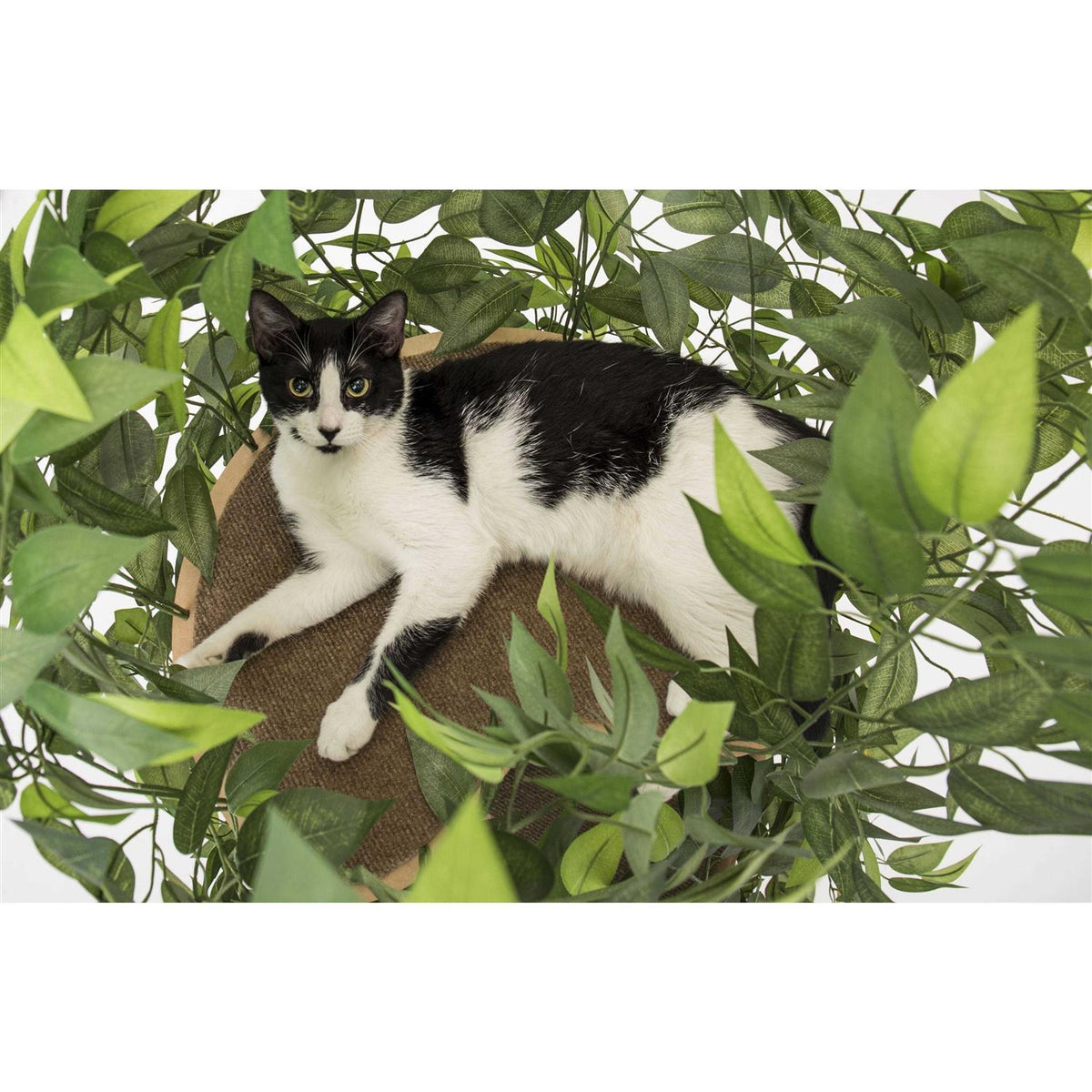 Cat Tree with Leaves Cat House I512979