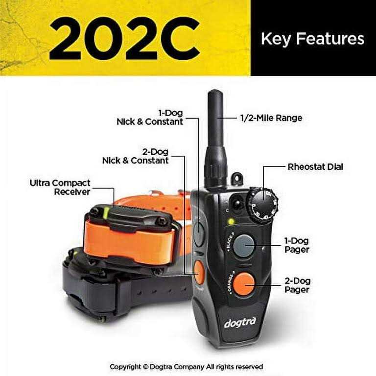 Remote Training Collar 2-Dog I611
