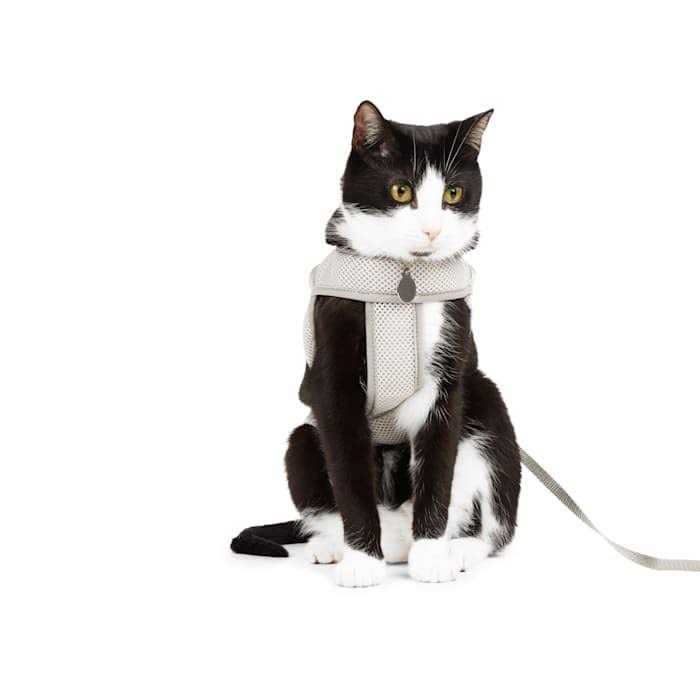 Gray Cat Harness E235