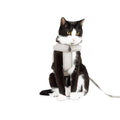 Gray Cat Harness E235